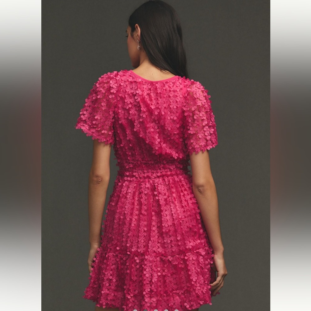 Anthropologie Somerset Appliqué  Textured Mini Dress- EUC!! - Picture 4 of 11